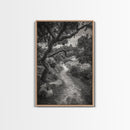Forest Path, Twisting Trees, Nature Trail Scene, Framed Canvas Print, Earthy Wall Art, Boho Woodland Decor, Entryway or Hallway Accent
