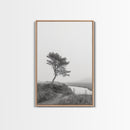 Leaning Tree Path, Soft Fog Scene, Calm Landscape, Canvas Print, Serene Entryway Wall Art, Nature Photography, Minimalist Decor