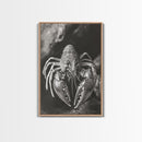 Lobster Close Up, Marine Life Art, Coastal Kitchen Decor, Monochrome Sea Animal, Framed Canvas Print, Ocean Wall Art, Nautical Print