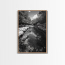 River Reflection, Nature Calm, Forest Stream, Canvas Print, Black and White Landscape Wall Art, Rustic Bathroom Decor, Tranquil Home Vibe