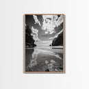 Dragonfly Flight, Beach View, Nature Dream, Framed Canvas Print, Whimsical Wall Art, Surreal Living Room Decor, Black and White Nature Style