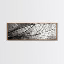 Macro Insect Wing, Abstract Nature Texture, Modern Neutral Wall Decor, Framed Canvas Print, Office Art, Monochrome Macro Photography