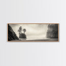 Foggy Beach, Coastal Pines, Ocean Cliffside, Nature Escape, Framed Canvas Print, Moody Wall Art, Living Room Decor, Pacific Northwest Style