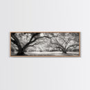 Sprawling Trees, Oak Forest, Sunlit Canopy, Majestic Branches, Canvas Print, Nature Wall Art, Boho Decor, Living Room Statement Piece