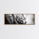 Tree Fungus, Natural Texture, Close-Up Growth, Wood Grain, Framed Canvas Print, Nature Wall Art, Boho Bedroom Decor, Botanical Print