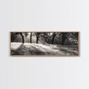 Sunrays Meadow, Tree Light, Golden Hour, Framed Canvas Print, Fall Living Room Art, Rustic Nature Decor, Warm Toned Landscape
