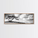 Windswept Tree, Coastal Nature, Ocean Cliff View, Framed Canvas Print, Zen Wall Art, Minimalist Decor, Calm Living Room Accent