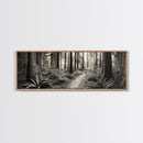 Redwood Forest, Nature Path, Fern Understory, Framed Canvas Print, Moody Nature Photography, Office Wall Art, Forest Bathing Vibes