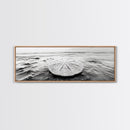 Sand Dollar, Ocean Shore, Calm Waters, Canvas Print, Coastal Wall Art, Minimalist Bathroom Decor, Seashell Beach Photography