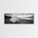 Shell on Shore, Monochrome Coastal, Canvas Print, Boho Wall Art, Bathroom Wall Decor, Natural Beach Aesthetic, Ocean Inspired Art