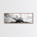 Windswept Kelp Rock, Ocean Botanical, Nature Inspired Canvas Print, Boho Style Art, Bathroom Wall Art, Sea Life Photography