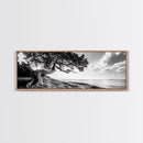 Coastal Tree, Wind Bent, Seaside Beauty, Nautical Serenity, Canvas Print, Nature Wall Art, Minimalist Decor, Coastal Living Room Art