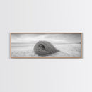 Tumbleweed Nest, Desert Beach, Natural Sculpture, Coastal Simplicity, Canvas Print, Modern Boho Wall Art, Neutral Home Aesthetic