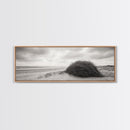 Windswept Dunes, Coastal Brush, Tumbleweed Form, Beach Nature, Framed Canvas Print, Fall Wall Art, Rustic Decor, Neutral Bedroom Style