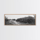 Wild Apple Path, Nature Overgrowth, Autumn Orchard Trail, Canvas Print, Fall Farmhouse Kitchen Art, Rustic Seasonal Wall Decor