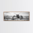 Lobster Closeup, Coastal Wildlife, Sandy Beach, Canvas Print, Bold Marine Life Art, Bathroom Wall Decor, Nautical Themed Accent