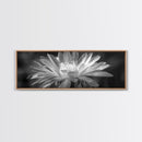 Soft Bloom, Desert Cactus Flower, Close-Up Botanical, Modern Black White Art, Framed Canvas Print, Bathroom Wall Art, Nature Photography