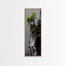 Tree of Life, Cliff Growth, Resilience Symbol, Nature Power, Framed Canvas Print, motivational office art, surreal landscape decor
