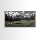 Mountain, Meadow, Wildflowers, Alpine meadow bloom and majestic peak on this Framed Canvas Print, serene Nature Wall Art for Entryway