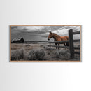 Rustic Horse, Country Fence, Western Scene, Moody Skies – Framed Canvas Print, Farmhouse Wall Art, Autumn Decor, Cabin Living, Cowboy Vibe