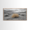 Desert Scene, Tumbleweed Beauty, Arid Landscape, Western Mood, Framed Canvas Print, Neutral Art, Entryway Wall Art, Rustic Home Style