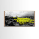 Lone Tree Lava, Surreal Earth Tones Decor, Abstract Volcanic Art, Black and Yellow Landscape, Canvas Print, Boho Living Room Accent