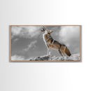 Howling Coyote Peak, Desert Wildlife Portrait, Majestic Animal Scene, Framed Canvas Print, Cabin Decor, Nature Wall Art, Minimalist Vibe