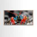 Vibrant Lobster, Red Blue, Sea Creature, Framed Canvas Print, Coastal Kitchen Wall Art, Ocean Wildlife, Nautical Bathroom Decor, Pop Art
