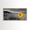 Yellow Flower, Desert Bloom, Monochrome Landscape, Canvas Print, Botanical Wall Art, Minimalist Nature Decor, Modern Kitchen Accent