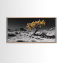 Golden Tree, Desert Landscape, Monochrome Background, Framed Canvas Print, Autumn Wall Art, Southwest Decor, Modern Boho Art Vibe