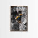 Fuzzy Bee Closeup, Insect Macro, Nature Texture, Framed Canvas Print, Wildlife Wall Art, Entomology Decor, Nature Photography
