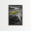 Mossy Stone Closeup, Earthy Nature Texture, Minimal Landscape Print, Framed Canvas Print, Modern Office Wall Decor, Zen Rock Art