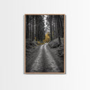 Forest Path, Yellow Trees, Autumn Trail, Framed Canvas Print, Fall Wall Art, Woodland Nature Decor, Cozy Home Accent, Entryway Artwork