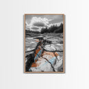 Cracked Earth, Desert Scene, Color Splash Photography, Framed Canvas Print, Modern Nature Wall Art, Industrial Decor, Earth Tones