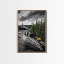 Wild Bloom, Yellow Flower, Driftwood and Grass, Moody Beach Scene, Framed Canvas Print, Autumn Wall Art, Nature Decor, Cozy Home Accent