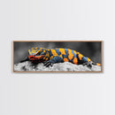 Colorful Lizard Art, Vibrant Reptile Closeup, Wildlife Macro, Canvas Print, Bold Nature Decor, Kids Room Wall Art, Bedroom Wall Art