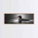 Red-Eyed Loon, Waterbird, Monochrome Beauty, Wildlife Portrait, Framed Canvas Print, Cabin Wall Art, Bird Lover Gift, Nature Photography