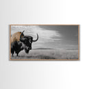 Buffalo Wall Art Canvas Print | Rustic Farmhouse Decor | Western Landscape Art | Moody Wall Art | Extra Wide Art | Nature Lover Gift