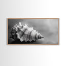 Sea Shell, Wabi Sabi Art, Coastal Decor, Minimalist Art, Nautical Wall Art, Moody Art, Extra Wide Art, Framed Canvas Print