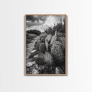 Cactus Trail, southwest wall art, rustic decor, desert painting, wabi sabi art, nature landscape art, framed canvas print, farmhouse decor