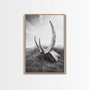 Large horns, rustic skull, bull and bear art, moody wall art, desert decor, cowboy aesthetic, framed canvas print, minimalist art