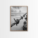 Barbed Wire, ocean view, rustic decor, coastal cowgirl wall art, wabi sabi art, moody photography, framed canvas print, minimalist art