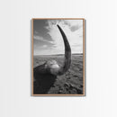 Lone Horn, desert minimalism, rustic western art, wabi sabi decor, moody photography, framed canvas print, black and white, southwest art