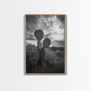 Prickly Pear, cactus art, Joshua tree art, wabi sabi art, moody art, black and white, framed canvas print, minimalist decor, rustic wall art