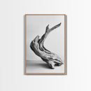 Driftwood Sculpture, wabi sabi art, rustic decor, minimalist art, botanical prints, farmhouse art, framed canvas print, living room art