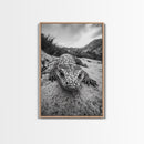 Lizard art, wildlife photography, moody art, desert decor, black and white photography, wabi sabi wall art, framed canvas print, unique gift
