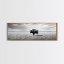 Lone buffalo, western landscape, rustic wall art, panoramic art, extra wide art, farmhouse decor, framed canvas print, wildlife painting, bull and bear art