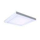 10" 30W LED Platter Ceiling Light Fixture | 120V