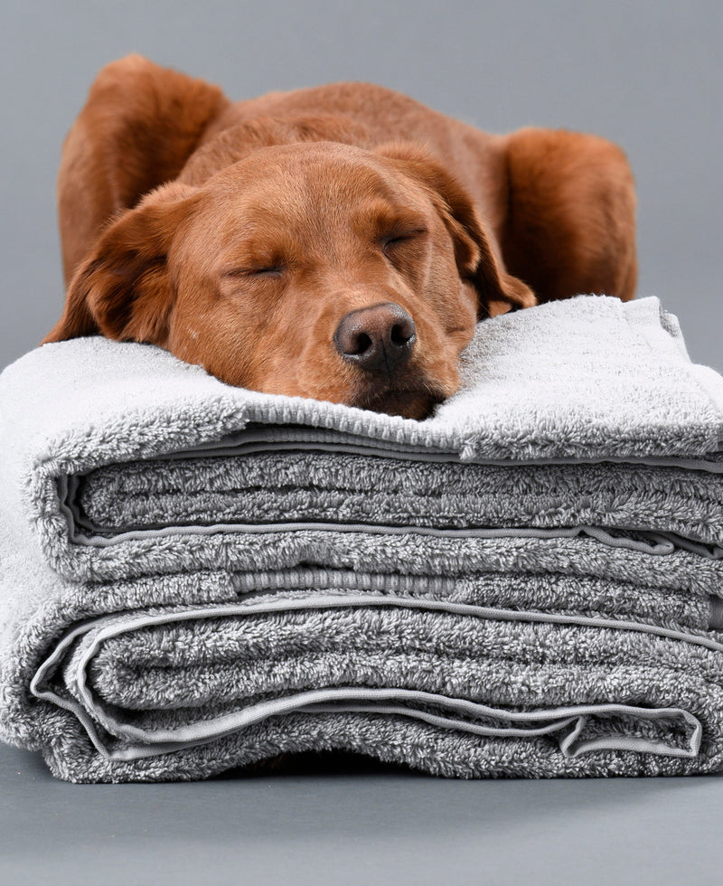 100% Organic Cotton Bath Towels Collection