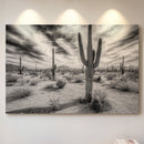 Saguaro Silence in Black and White